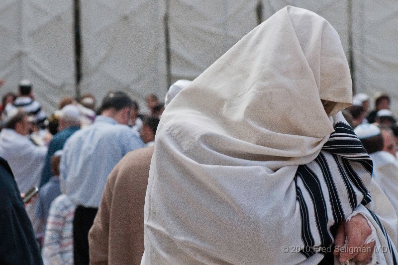 20100408_104418 D300.jpg - Some serious prayer. Jew covered with prayer shawl (tallith)